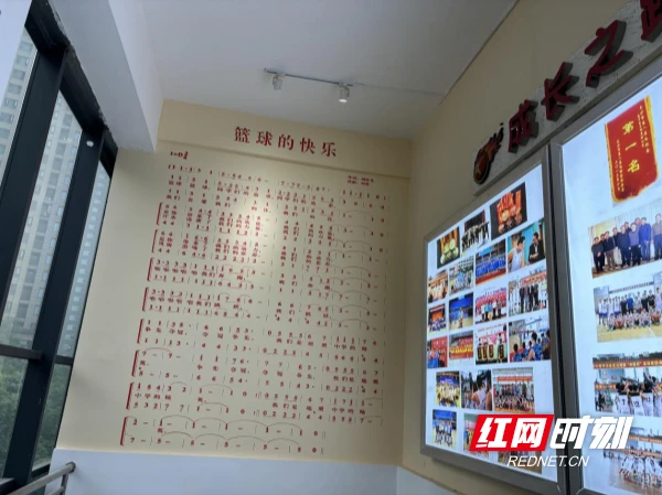 篮球训练技术动作视频下载教程_2